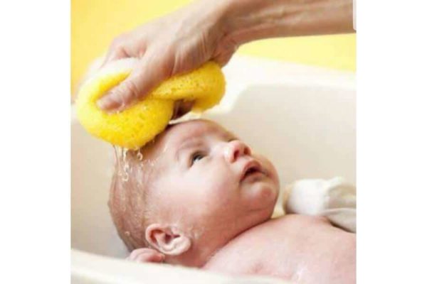 Jack N'Jill Natural Kids XL Doğal Bebek ve Çocuk Deniz Süngeri