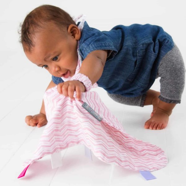 Cheeky Chompers Muslin Comforter (Rosy Days)