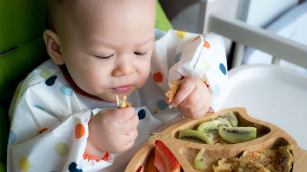 Baby Led Weaning Piramide Nutricional Blw Primeras Comidas En Images