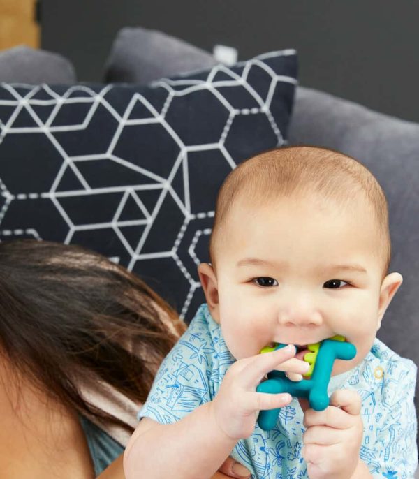 Boon Teether Diş Kaşıyıcı Ejderha