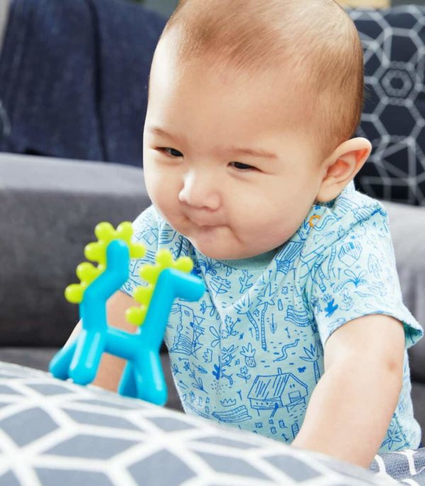 Boon Teether Diş Kaşıyıcı Ejderha