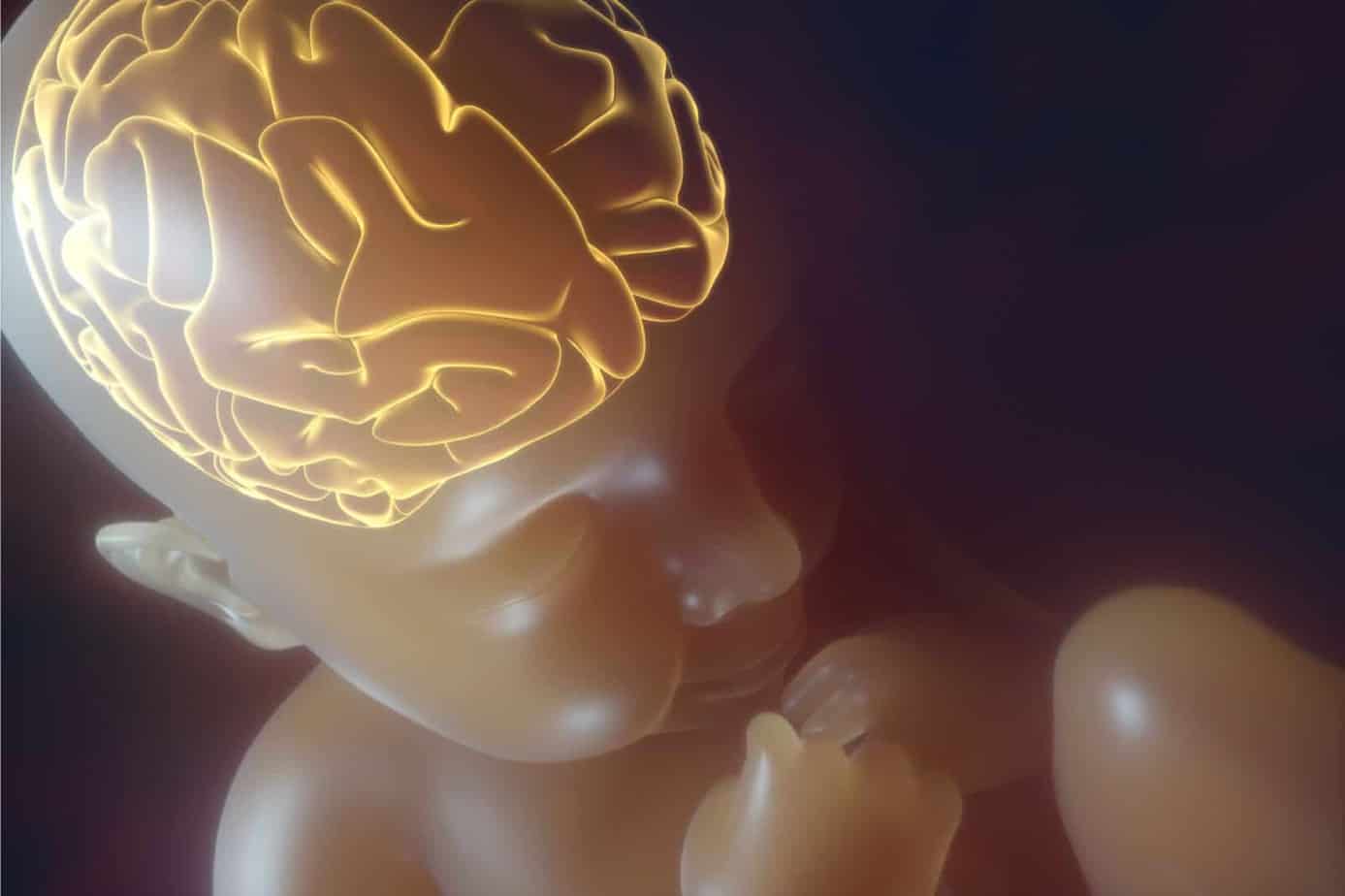 hamilelikte bebeğin beyin gelişimi için neler yapılmalı
