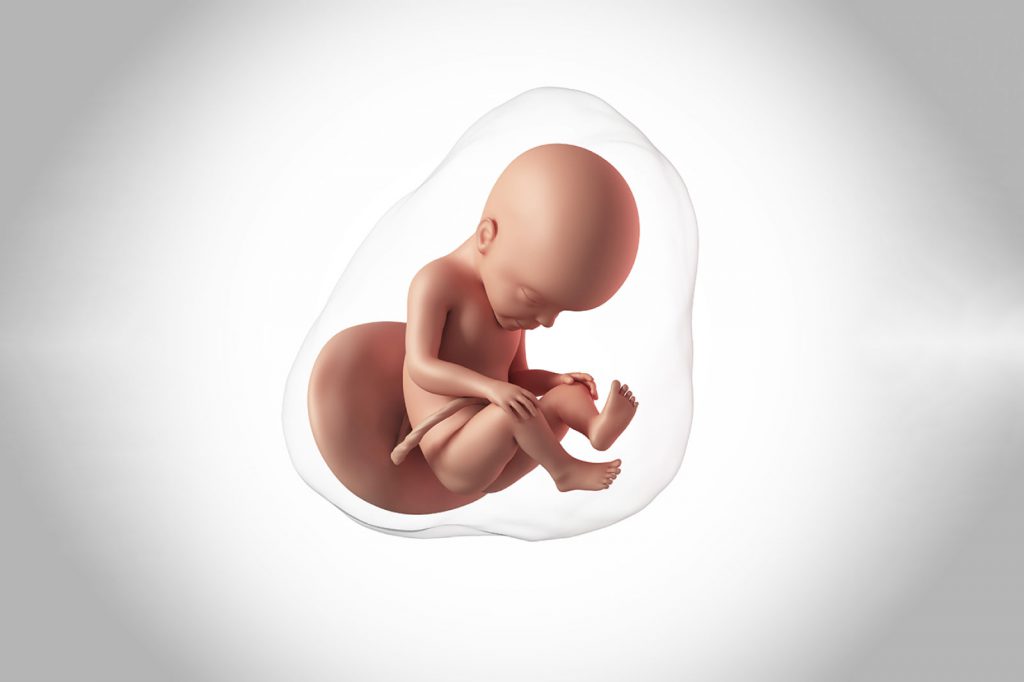 hamilelikte bebeğin beyin gelişimi ne zaman tamamlanır