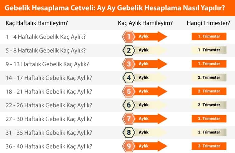 Hamilelik Tablosu