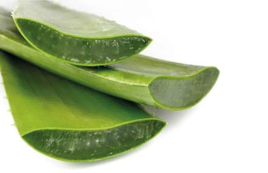 Aloe Vera Egzama