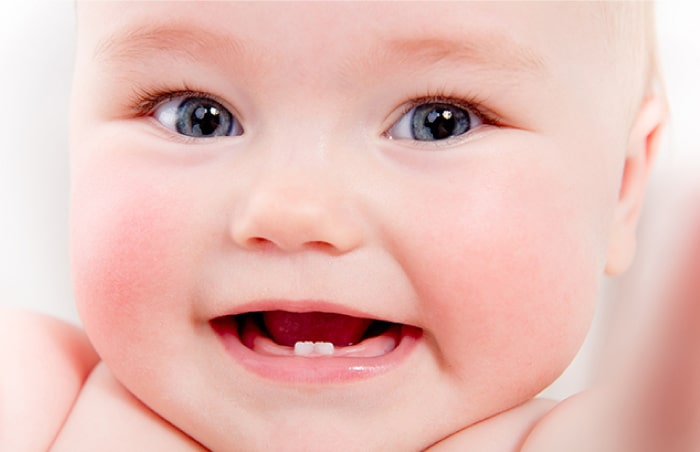 19 Aylık Bebek Diş Gelişimi