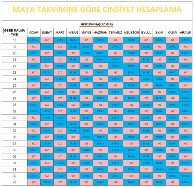 Maya Takvimi ile Bebek Cinsiyet Tahmini